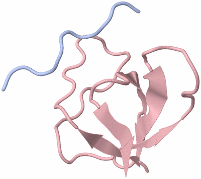 Image NMR Structure - all models