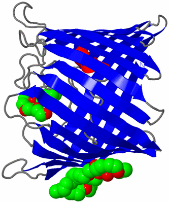 Image Asymmetric Unit