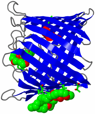 Image Asym. Unit - sites