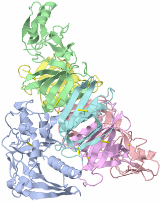 Image Biological Unit 1