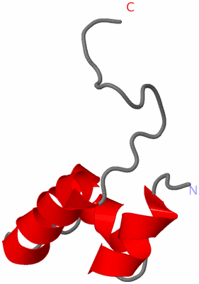 Image NMR Structure - model 1