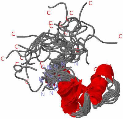 Image NMR Structure - all models