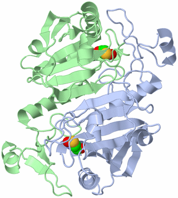 Image Asym./Biol. Unit