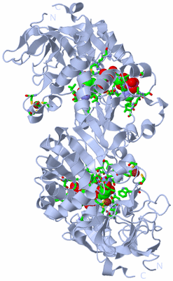 Image Biol. Unit 1 - sites