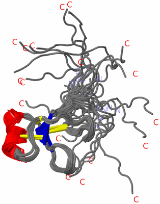 Image NMR Structure - all models