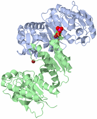 Image Asym./Biol. Unit