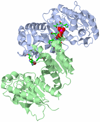 Image Asym./Biol. Unit - sites