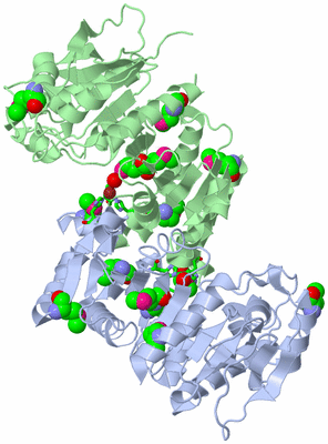 Image Biol. Unit 1 - sites