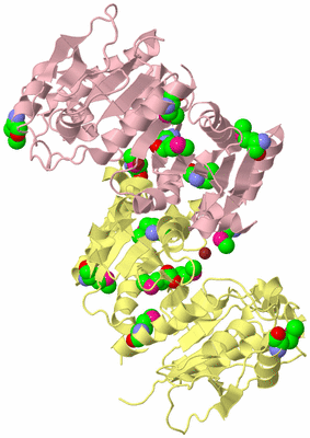 Image Biological Unit 2