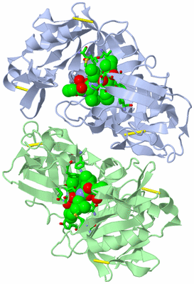Image Asym./Biol. Unit - sites