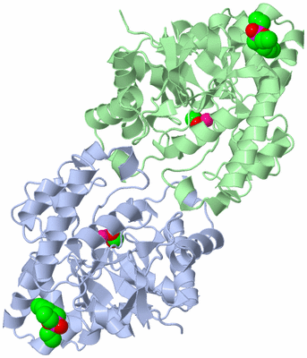 Image Asym./Biol. Unit