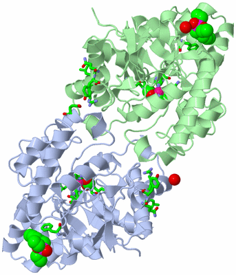 Image Asym./Biol. Unit - sites