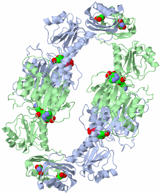 Image Biological Unit 1