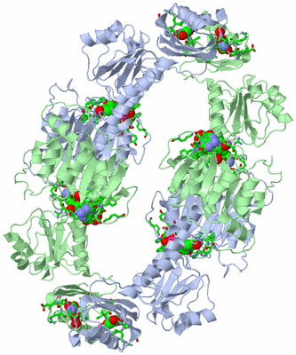 Image Biol. Unit 1 - sites