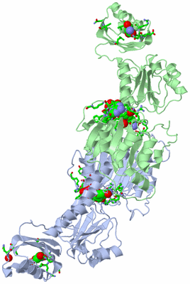 Image Asym. Unit - sites