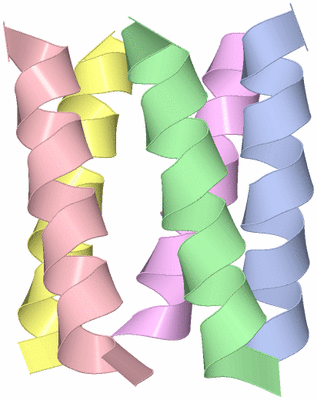 Image Theoretical Model