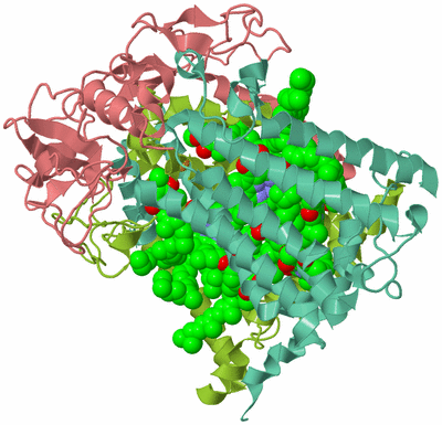 Image Asym./Biol. Unit