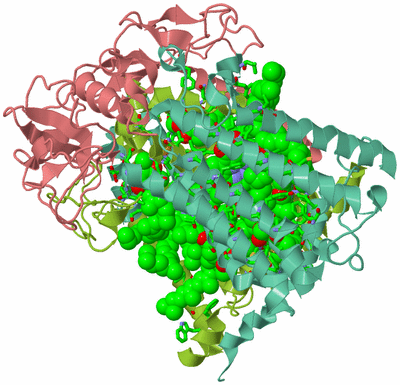 Image Asym./Biol. Unit - sites