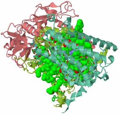 Image Asym./Biol. Unit - sites