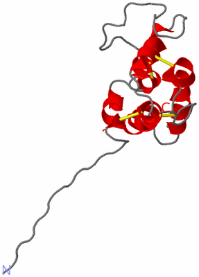 Image NMR Structure - model 1