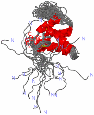 Image NMR Structure - all models