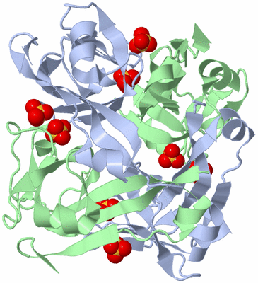 Image Biological Unit 1