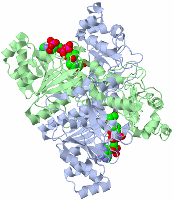 Image Asym./Biol. Unit