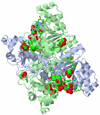 Image Asym./Biol. Unit - sites