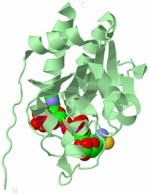 Image Biological Unit 2