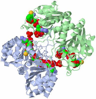 Image Biological Unit 3