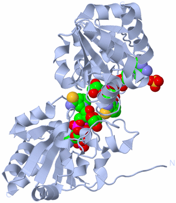 Image Biological Unit 5