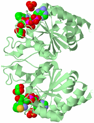 Image Biological Unit 6