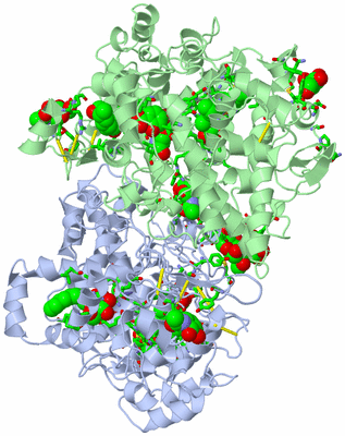 Image Asym./Biol. Unit - sites