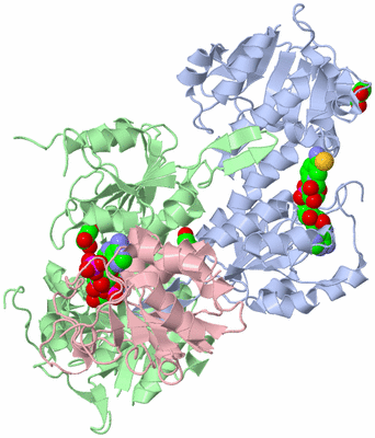 Image Asym./Biol. Unit