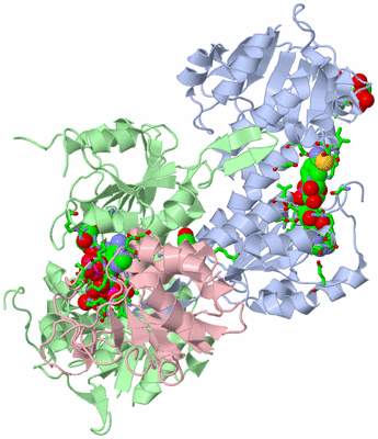 Image Asym./Biol. Unit - sites