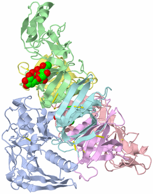 Image Biological Unit 1