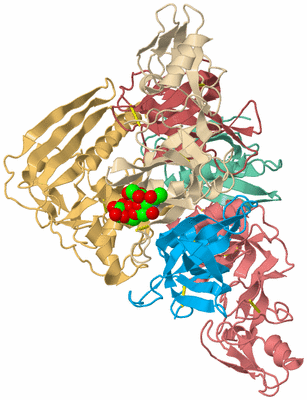 Image Biological Unit 2