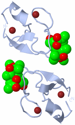 Image Biological Unit 1