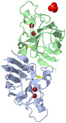 Image Biological Unit 1