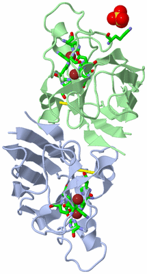 Image Biol. Unit 1 - sites