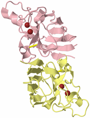 Image Biological Unit 2