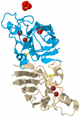 Image Biological Unit 5