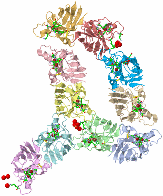 Image Asym. Unit - sites