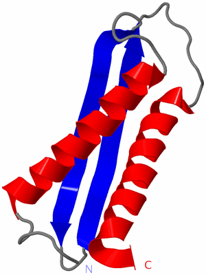 Image NMR Structure - model 1