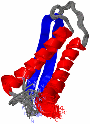 Image NMR Structure - all models