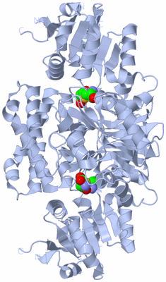 Image Biological Unit 2