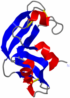 Image NMR Structure - model 1