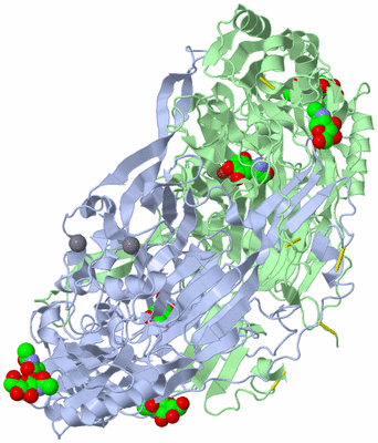 Image Asym./Biol. Unit