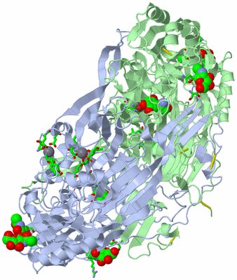 Image Asym./Biol. Unit - sites