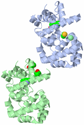 Image Asymmetric Unit